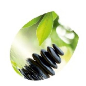 CAPAC WC, SOFT CLOSE, QUICK RELEASE 49600